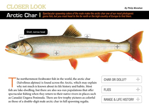 American Angler Magazine screenshot 4