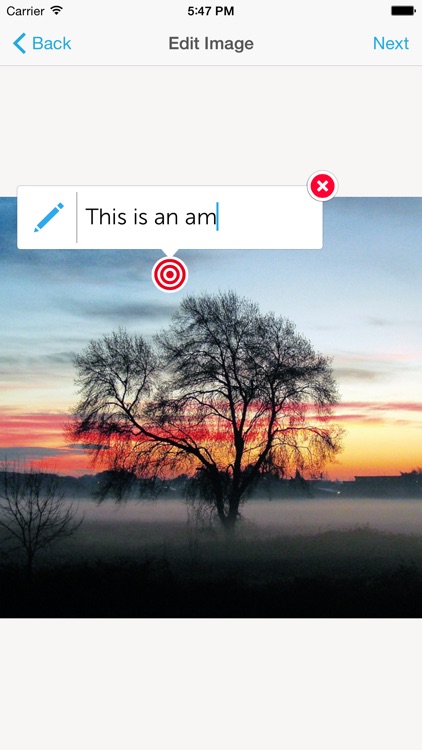 ThingLink