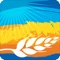 The Wheatbelt Way self-drive trail app will lead you on an adventurous interpreted journey to the region's communities of Dowerin, Wyalkatchem, Koorda, Bencubbin, Beacon, Westonia, Mukinbudin, Nungarin and Trayning
