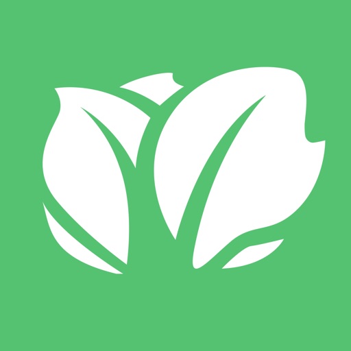 Kabbage - Small Business Loans