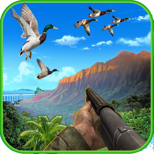 Bird Hunting Game:Shoot Duck icon