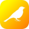 UK Birds Dictionary Pro