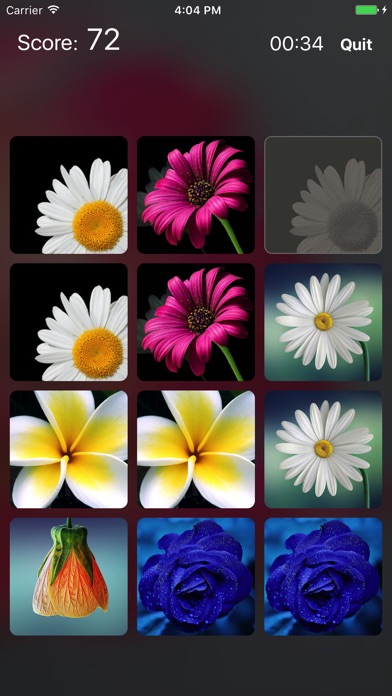 Flower Match - Game of Memory screenshot 2