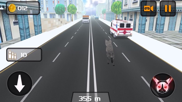 Kitty Cat Rush 3D Game screenshot-4