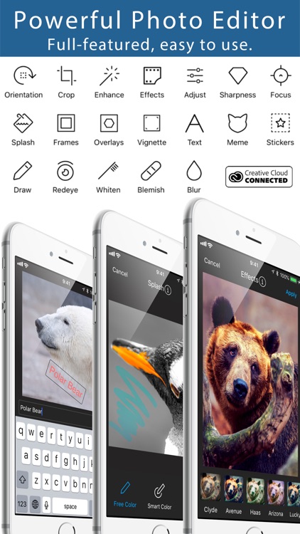 Squaready Pro screenshot-4