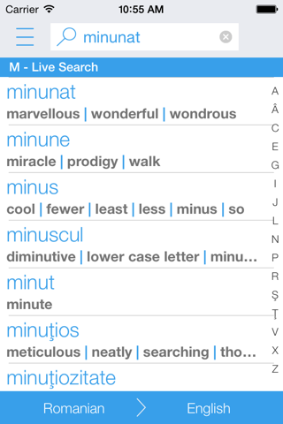 Dictionary Romanian English screenshot 2