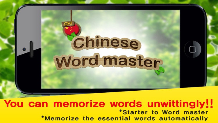 Chinese Word Master