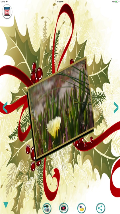 Photo frames-Frames & pictures