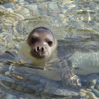 EG | Explore Alonissos pour PC