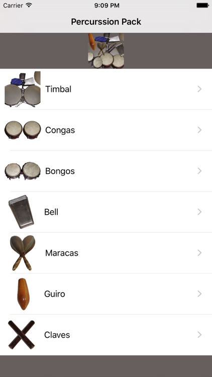 Salsa Percussion
