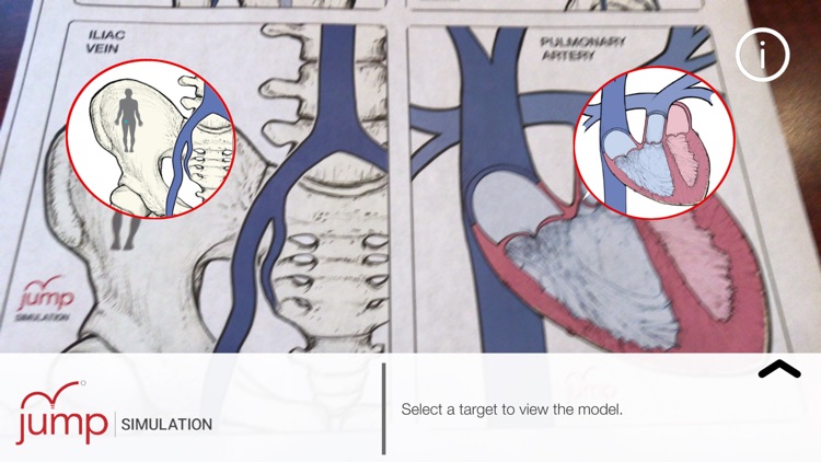 AR Anatomy by Jump Simulation