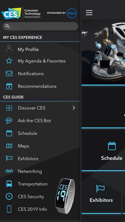 CES 2019
