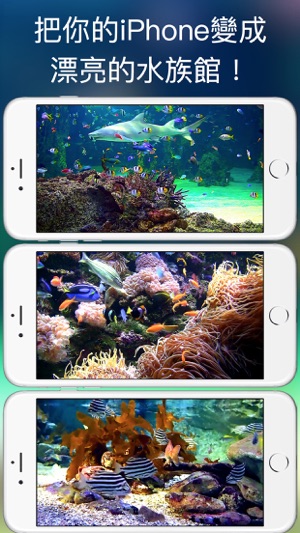 水族館 HD +(圖1)-速報App