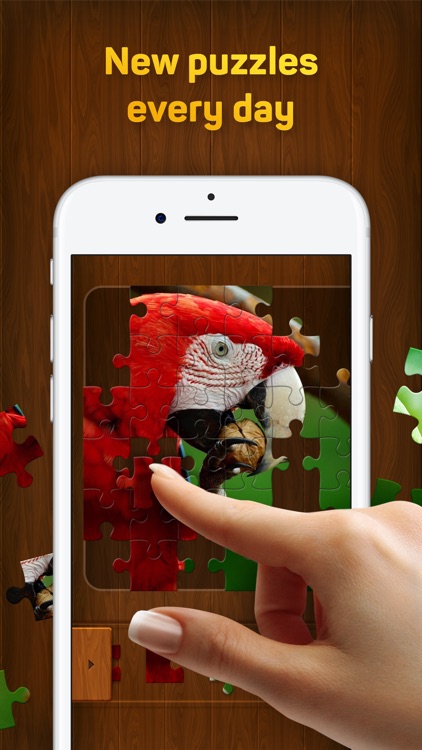 Jigsaw Puzzles for You