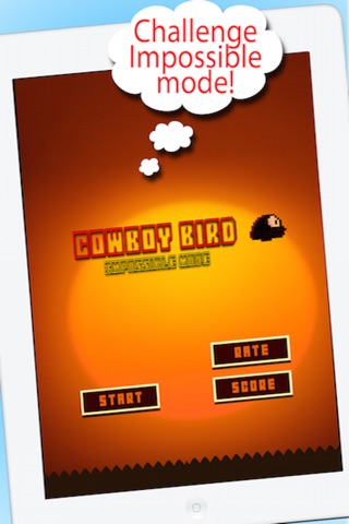 Cowboys Bird screenshot 3