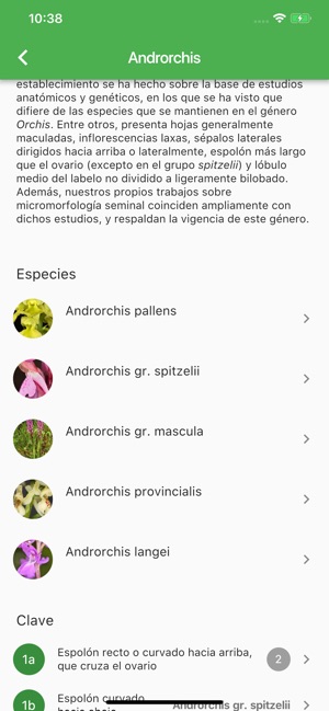 Orquídeas Ibéricas(圖6)-速報App