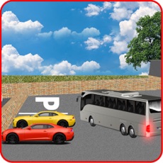 Activities of City Bus Transport Service