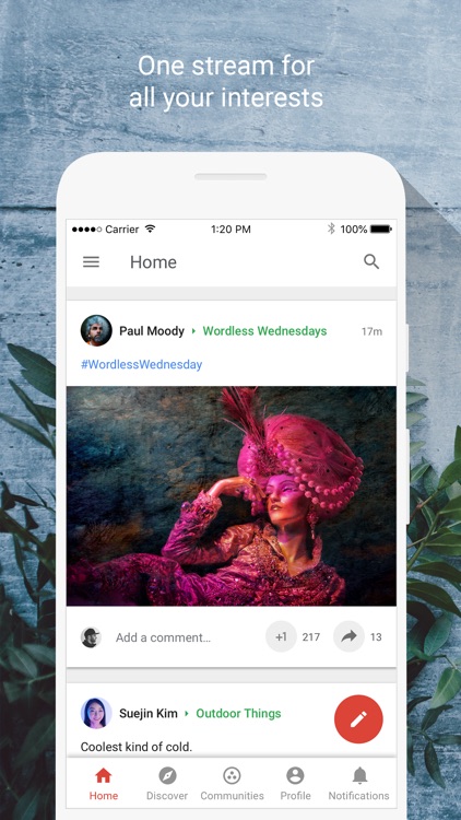 Google+