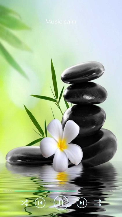 Relaxing Sleep Music screenshot-6