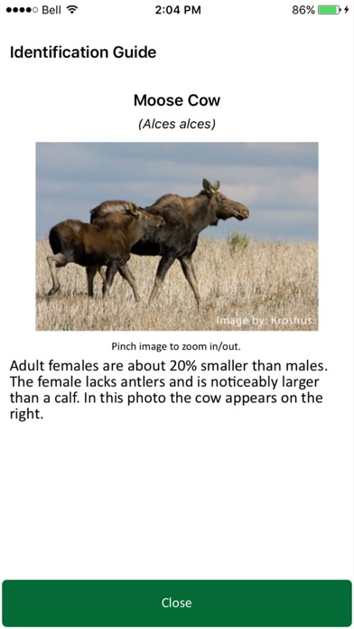 Saskatchewan Wildlife Survey screenshot 3