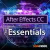 Essentials For After Effects