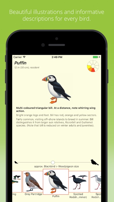 How to cancel & delete Birds by Colour from iphone & ipad 3