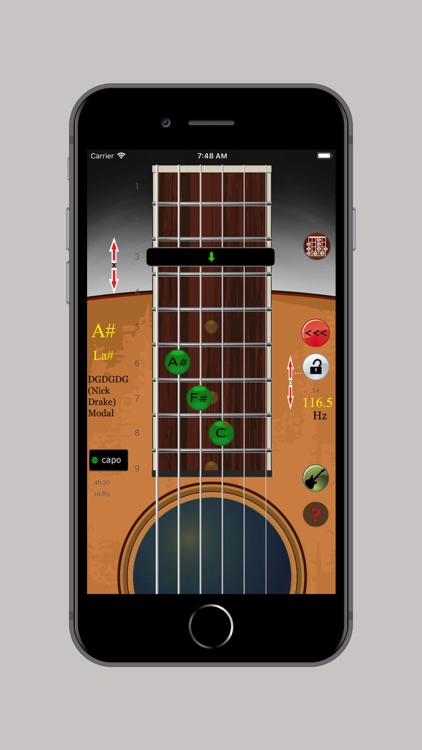 Guitar Fretboard Maps (Ads)