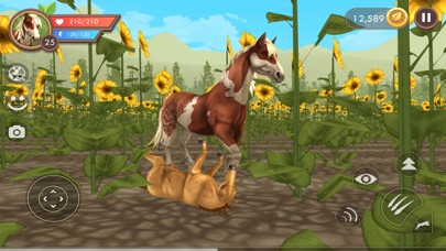 Wildcraft Wild Sim Online By Turbo Rocket Games Ios - roblox african wild dog wild savannah random game slot