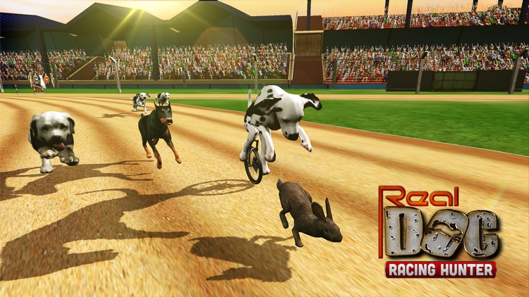 Crazy Dog Racing Fever by Laeeque Ahmad