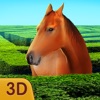 Horse Maze - Adventure Quest