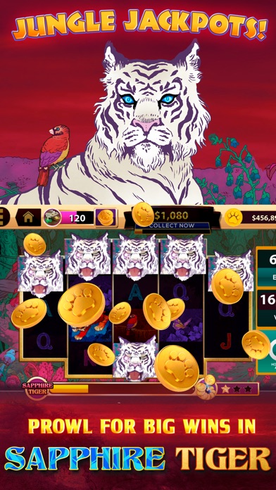 CATS Casino - Real Hit Slots! screenshot 3
