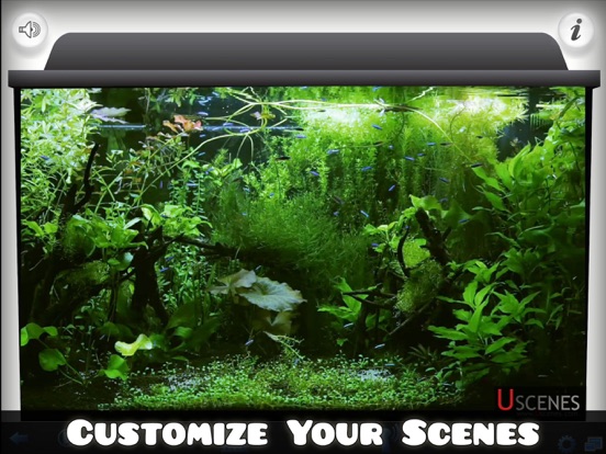 Aquarium HD : Tropical and Marine Fish Tank Scenes screenshot