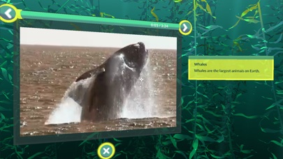 PI VR Oceans screenshot 2
