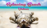 Relaxing Beach Videos — The best internet videos pour PC