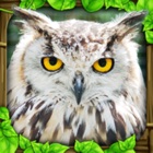 Top 20 Games Apps Like Owl Simulator - Best Alternatives