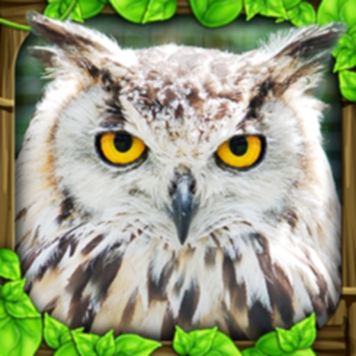 Owl Simulator Icon