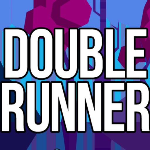 Double Runner - Puzzle Games icon