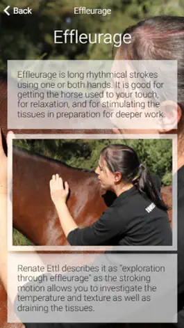 Game screenshot Equestricare Horse Massage mod apk