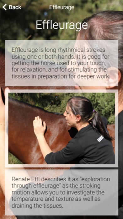 How to cancel & delete Equestricare Horse Massage from iphone & ipad 1