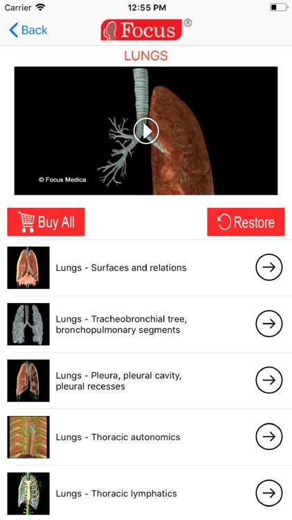 LUNGS - Digital Anatomy