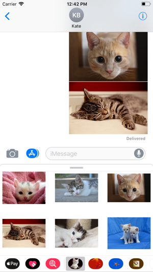 Kitten Sticker Pack(圖9)-速報App