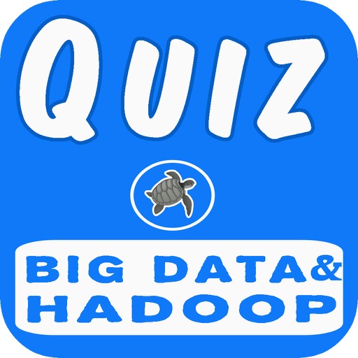 Big Data And Hadoop Questions icon