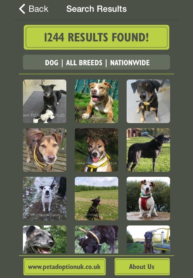 Pet Adoption UK screenshot 3