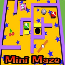 Activities of Mini Maze Pro