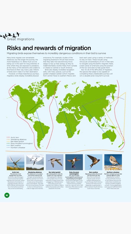 World of Animals Magazine: Wildlife and nature screenshot-3