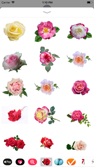 Rose Sticker Pack(圖2)-速報App