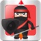 Ninja Warriors game