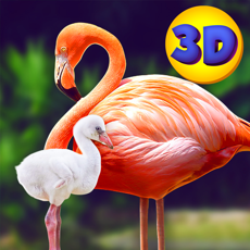 Activities of Wild Pink Flamingo Sim