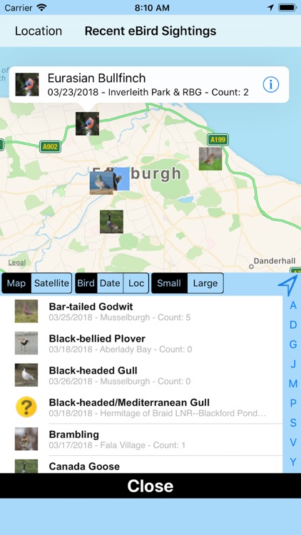 Big Year Birding GB screenshot-4