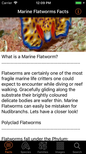 Marine Flatworms ID(圖2)-速報App